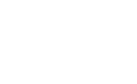 Vic Store